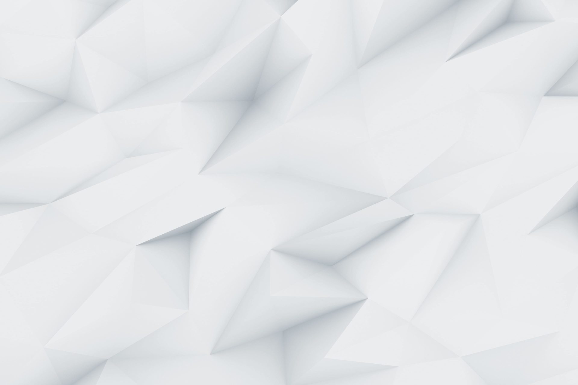 demo image 000002 scaled