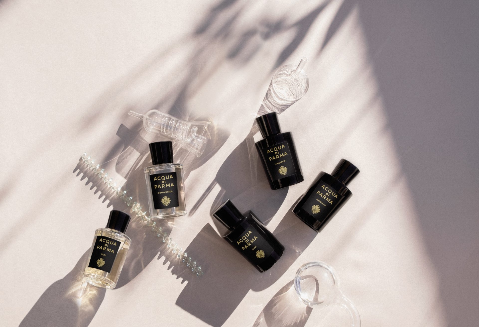 AcquadiParma signature