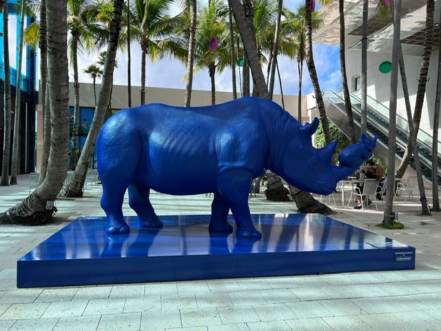 rinocer in fata magazinului