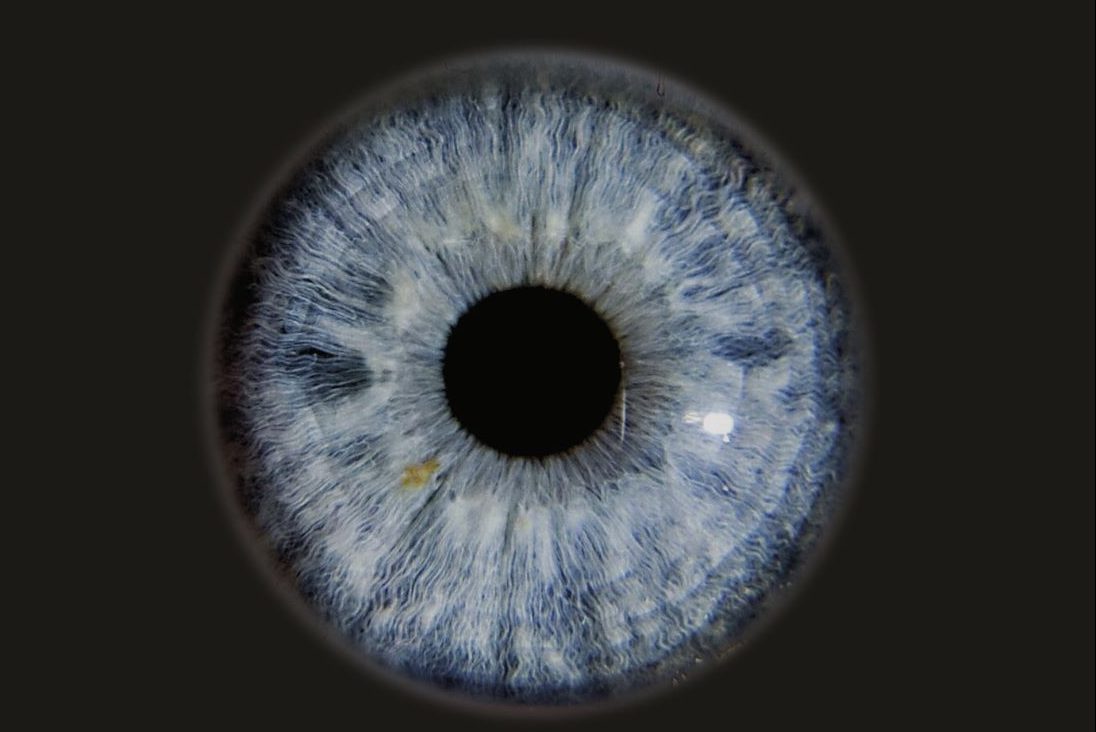 Noaptea Muzeelor Opera Nationala Bucuresti e1682673031542