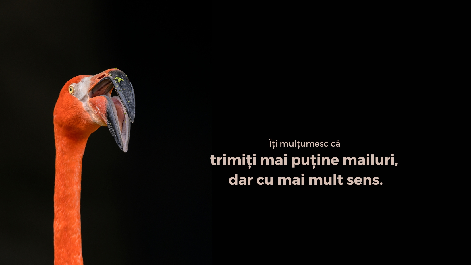 345080745 222055117279184 6200129355179347069 n