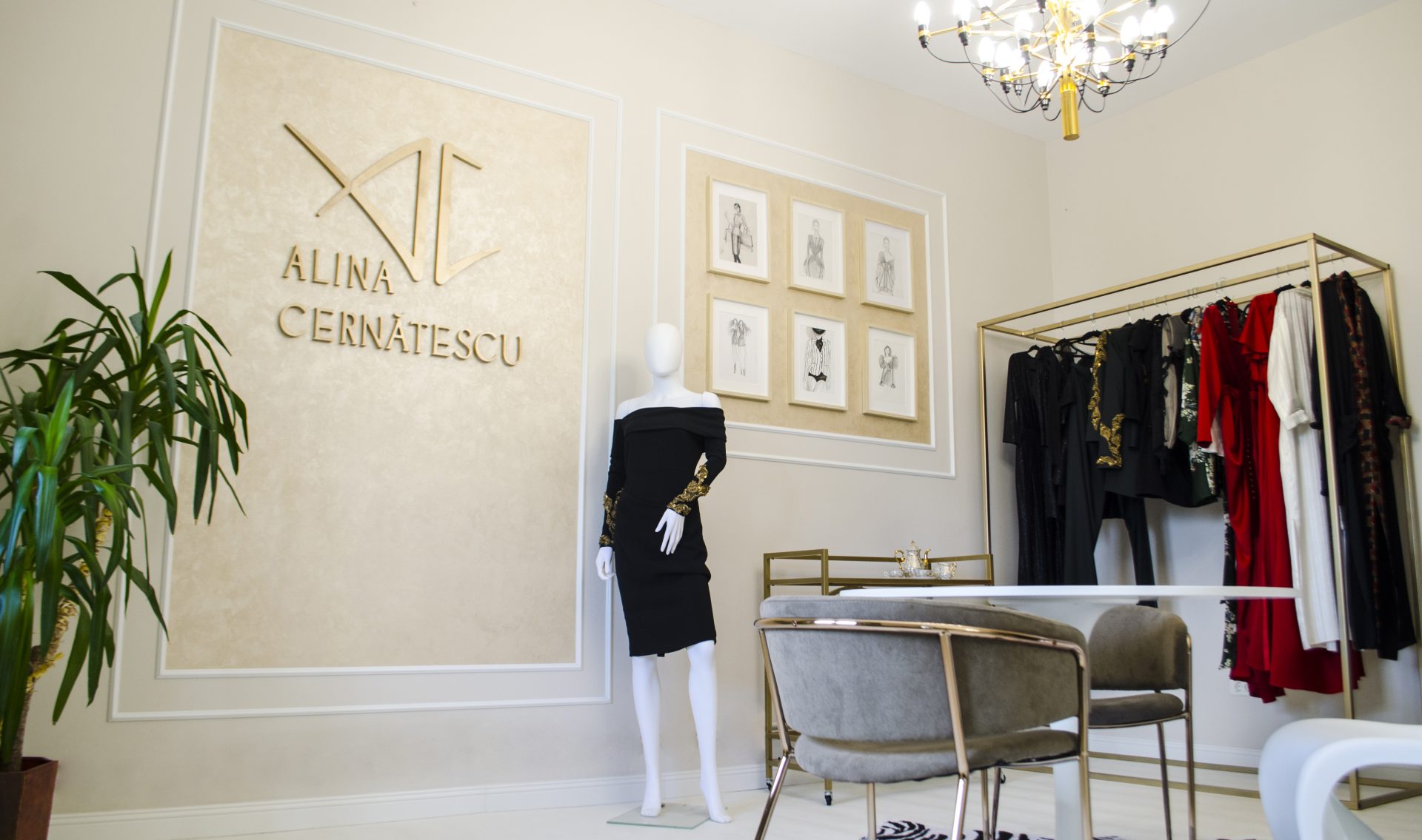 VIP Room Alina Cernatescu