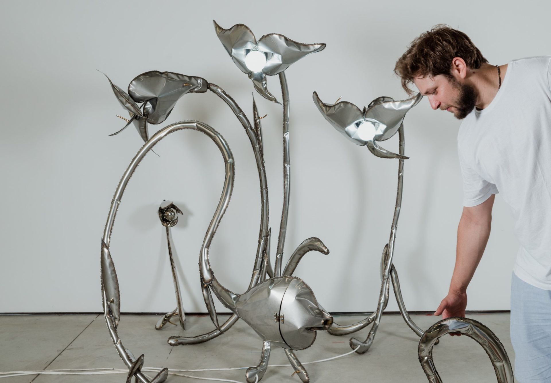 credits diana elena paun 6