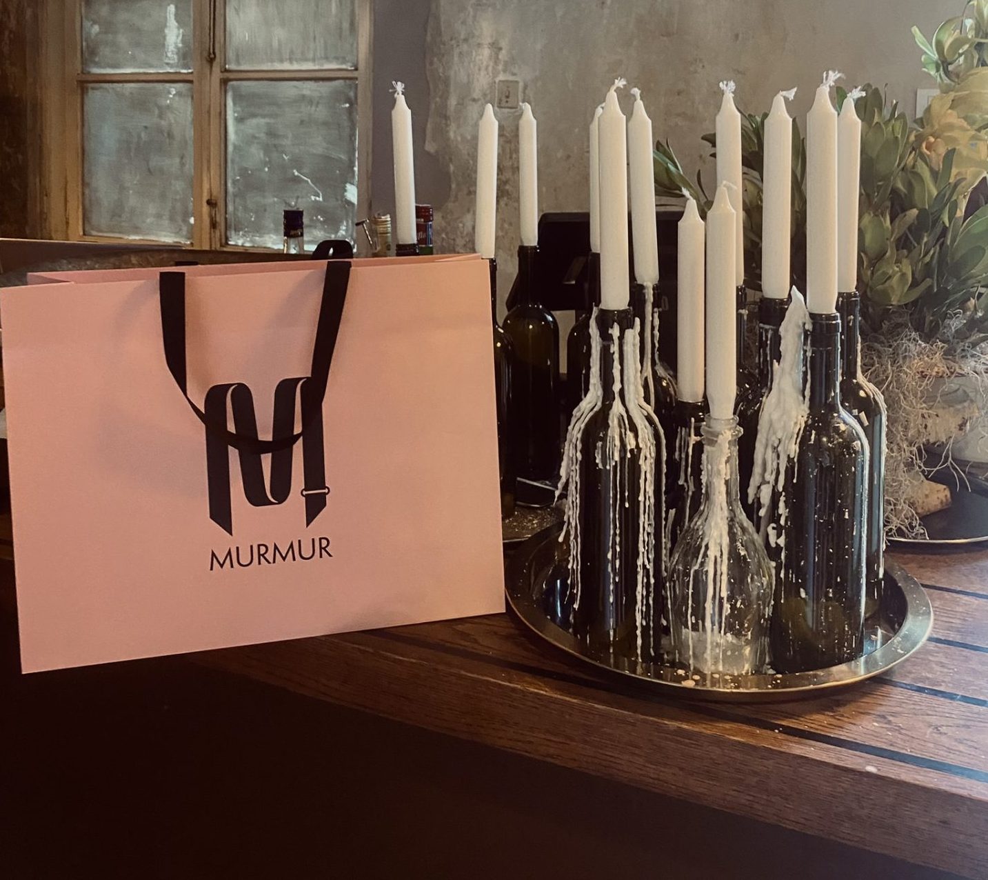 IMG 8992 e1692963050618