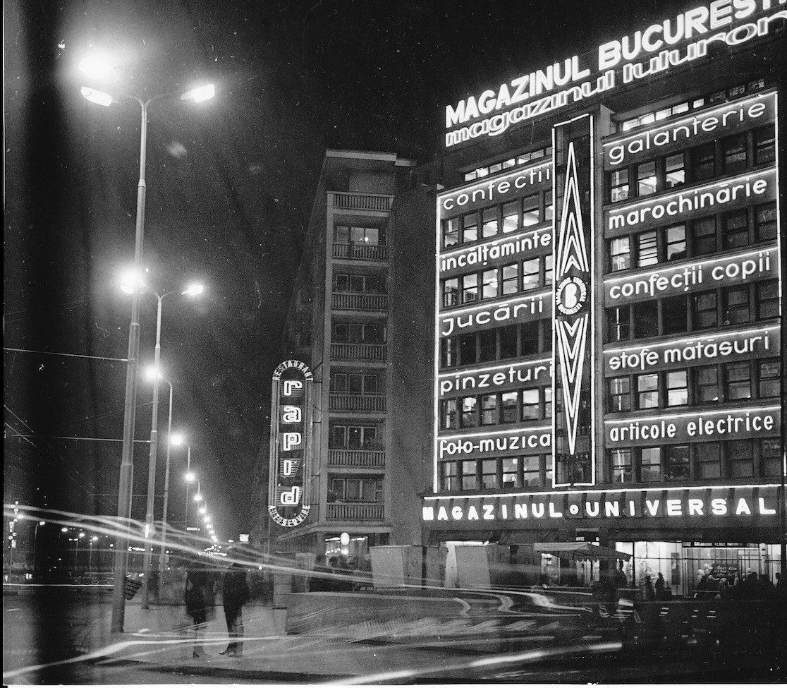 Viata de noapte Art Safari