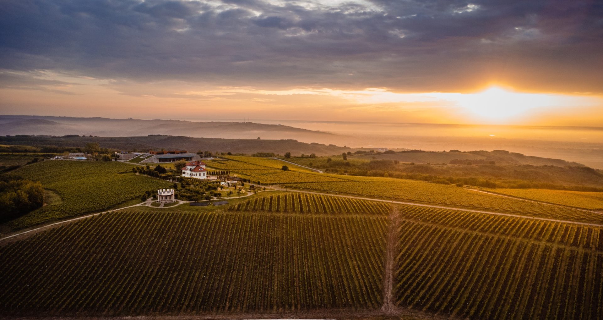 Domeniul VILA DOBRUSA 1