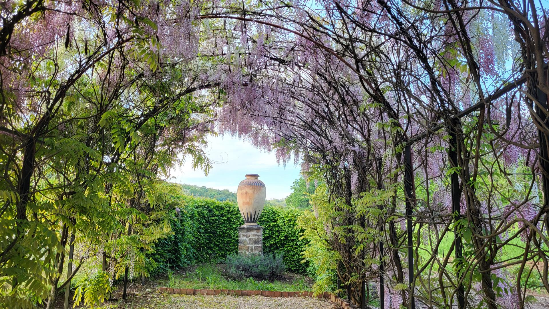 Domeniul Regal Savarsin primavara