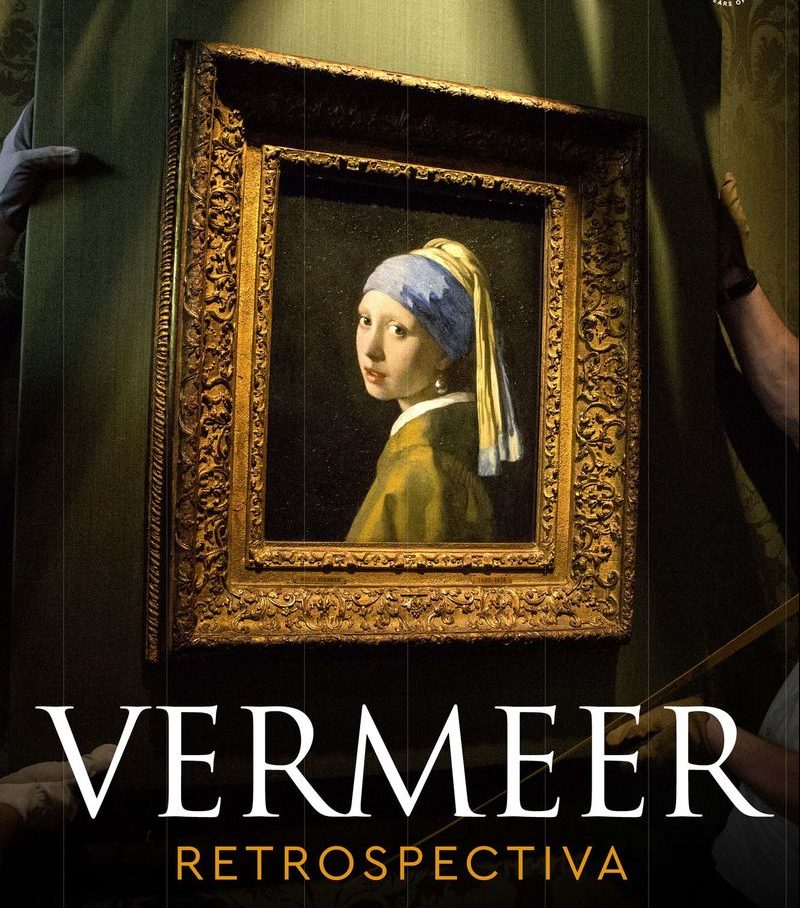 Vermeer e1719990415983