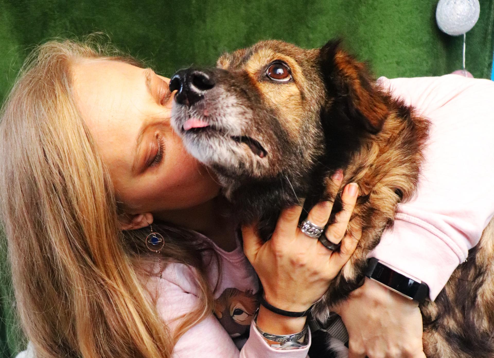 Sache, povestea cățelului care a numit o fundație și spitalul social dedicat animalelor și oamenilor