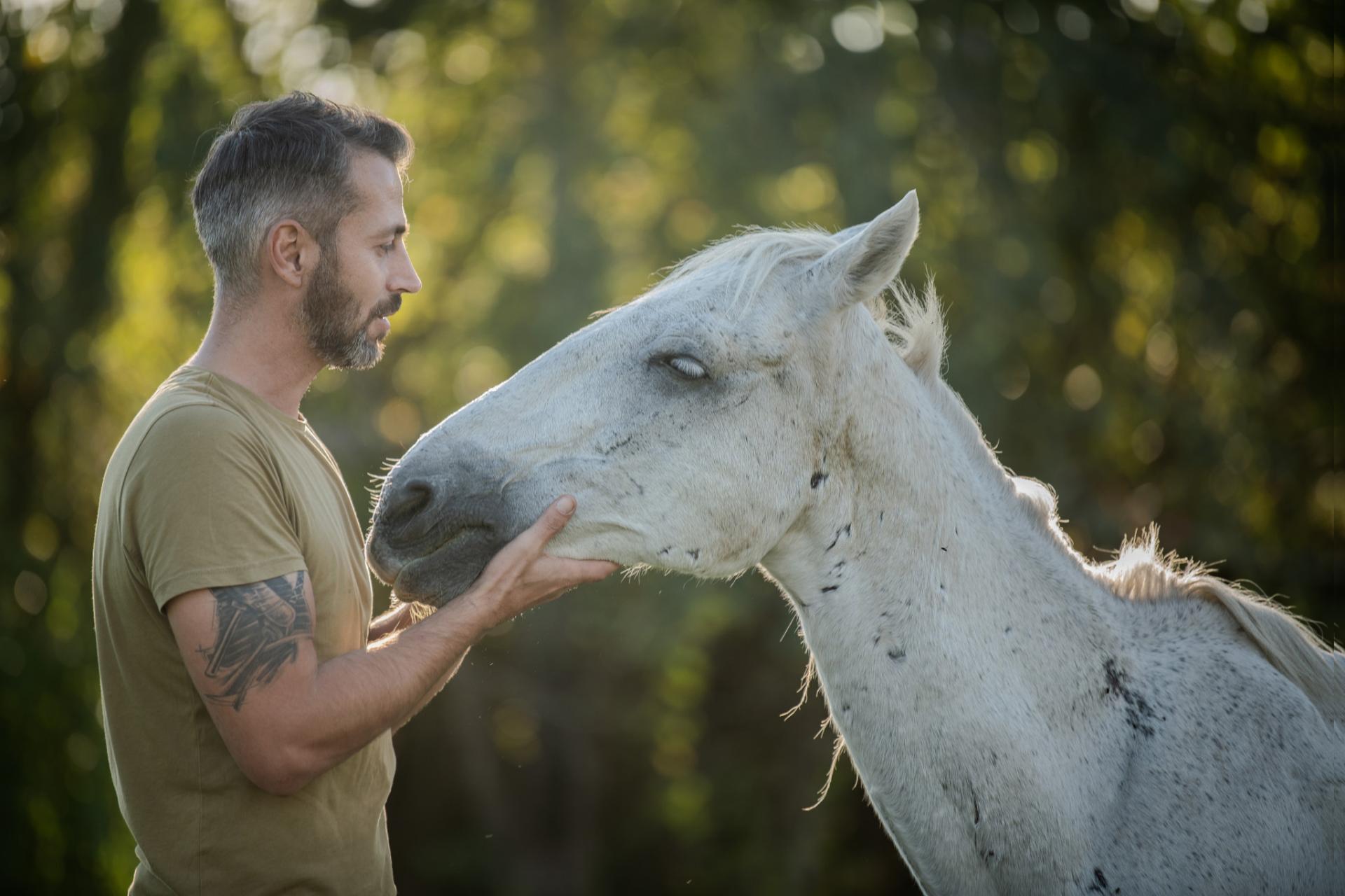 Lucian de la Megafauna, omul care luptă să schimbe ideea că un cal este doar un „animal de muncă”