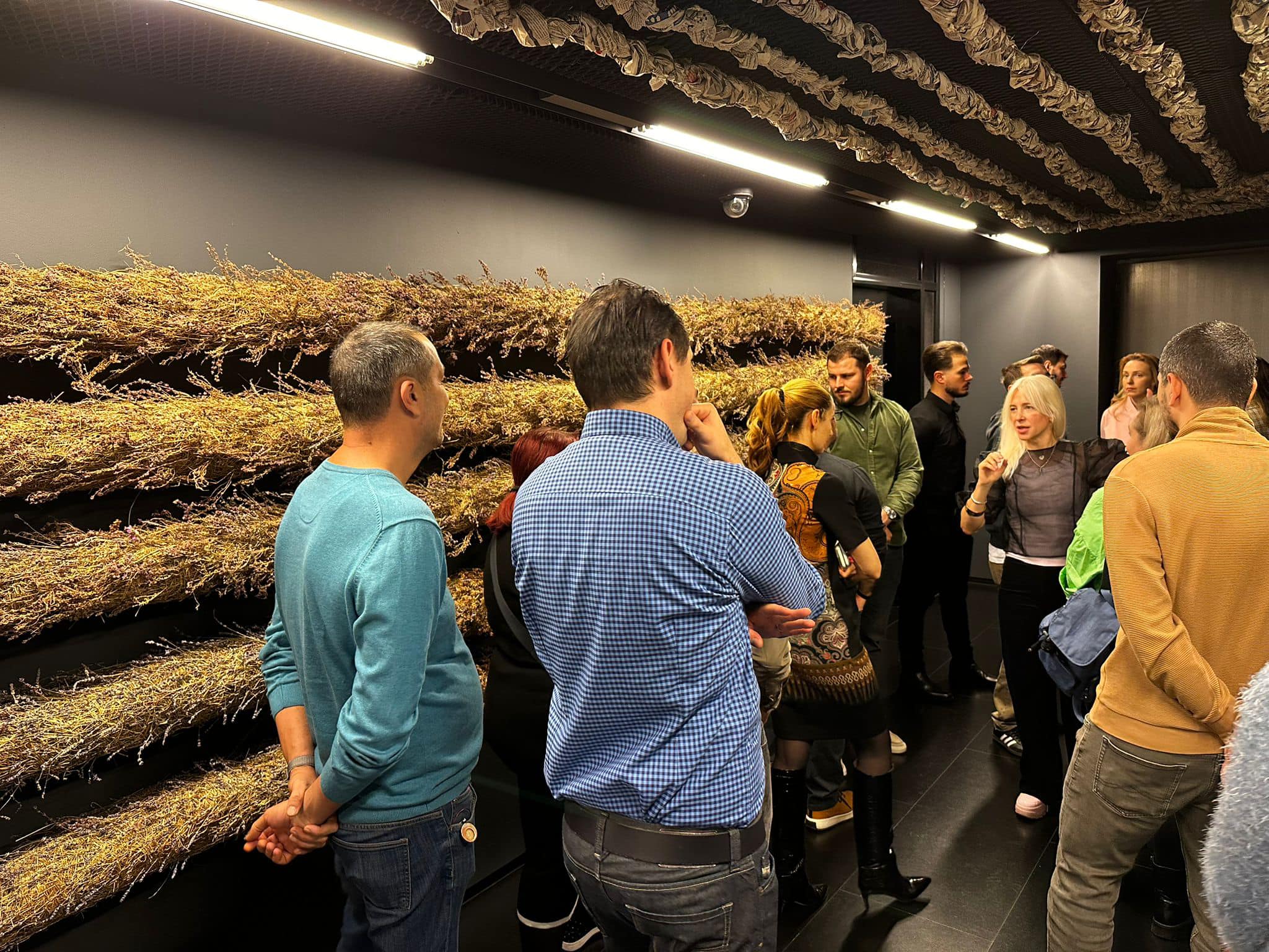 Lavinia Dussaix și modurile în care te poți hrăni prin arta