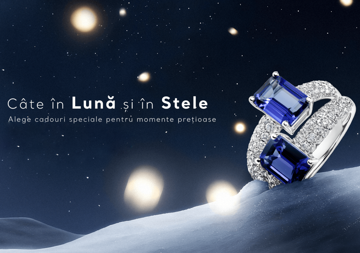 Banner iarna SD e1734447204511