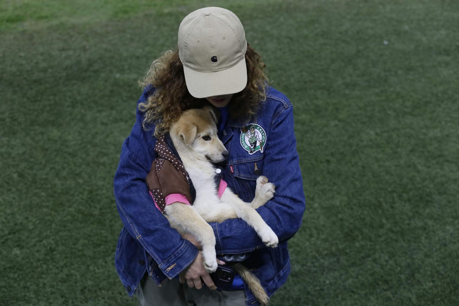 Hilde Tudora, șefă la Direcția pentru Protecția Animalelor, demonstrează că se poate face treabă bună și „la stat”