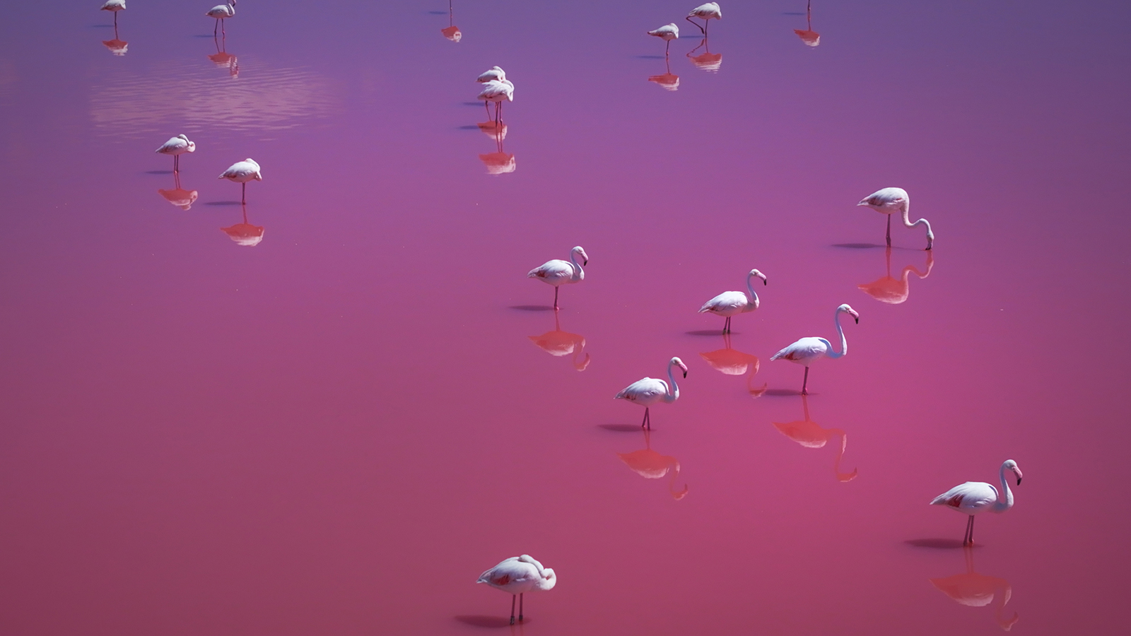 Europe movie still 03