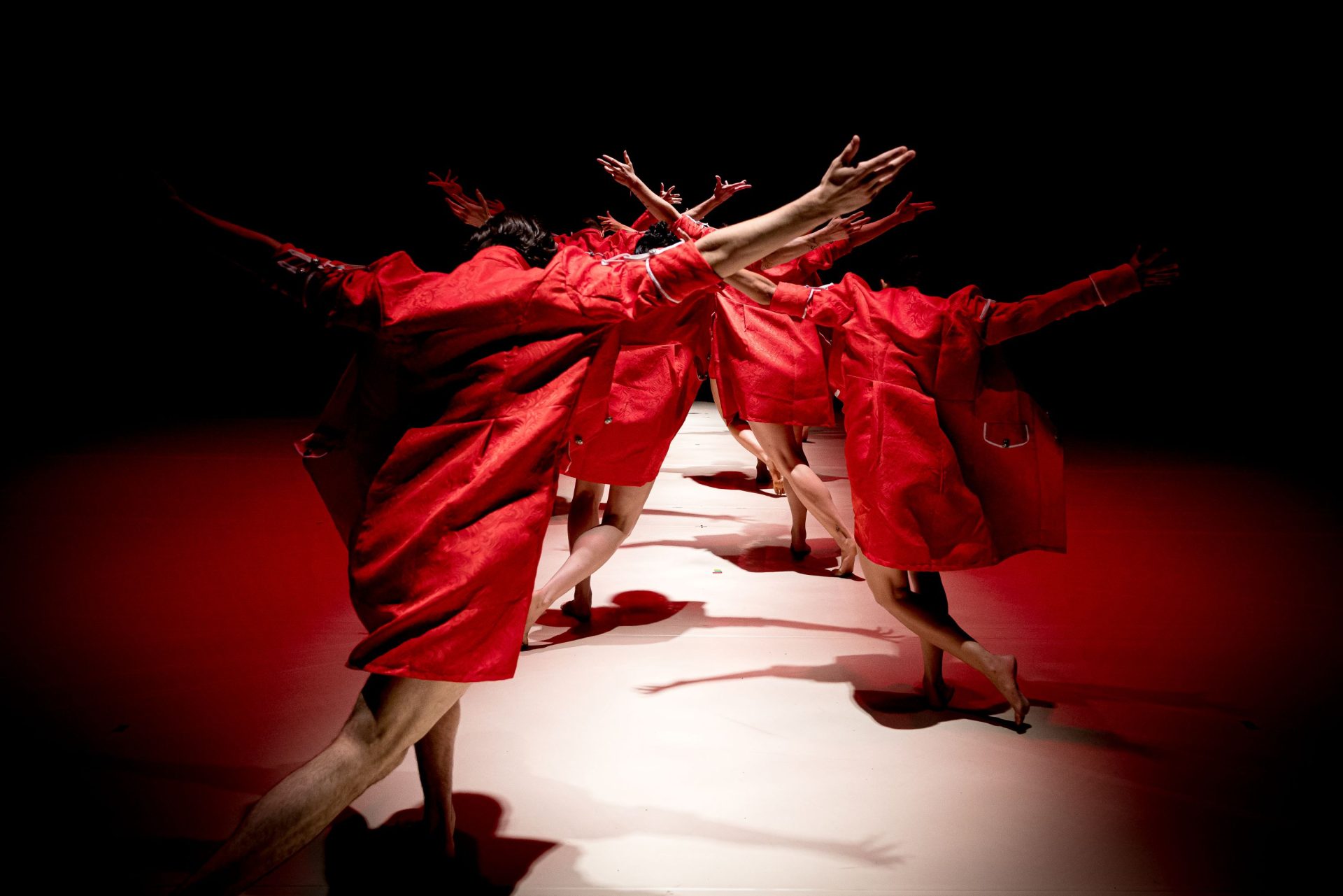 the director s cut credit Eyal Hirsch