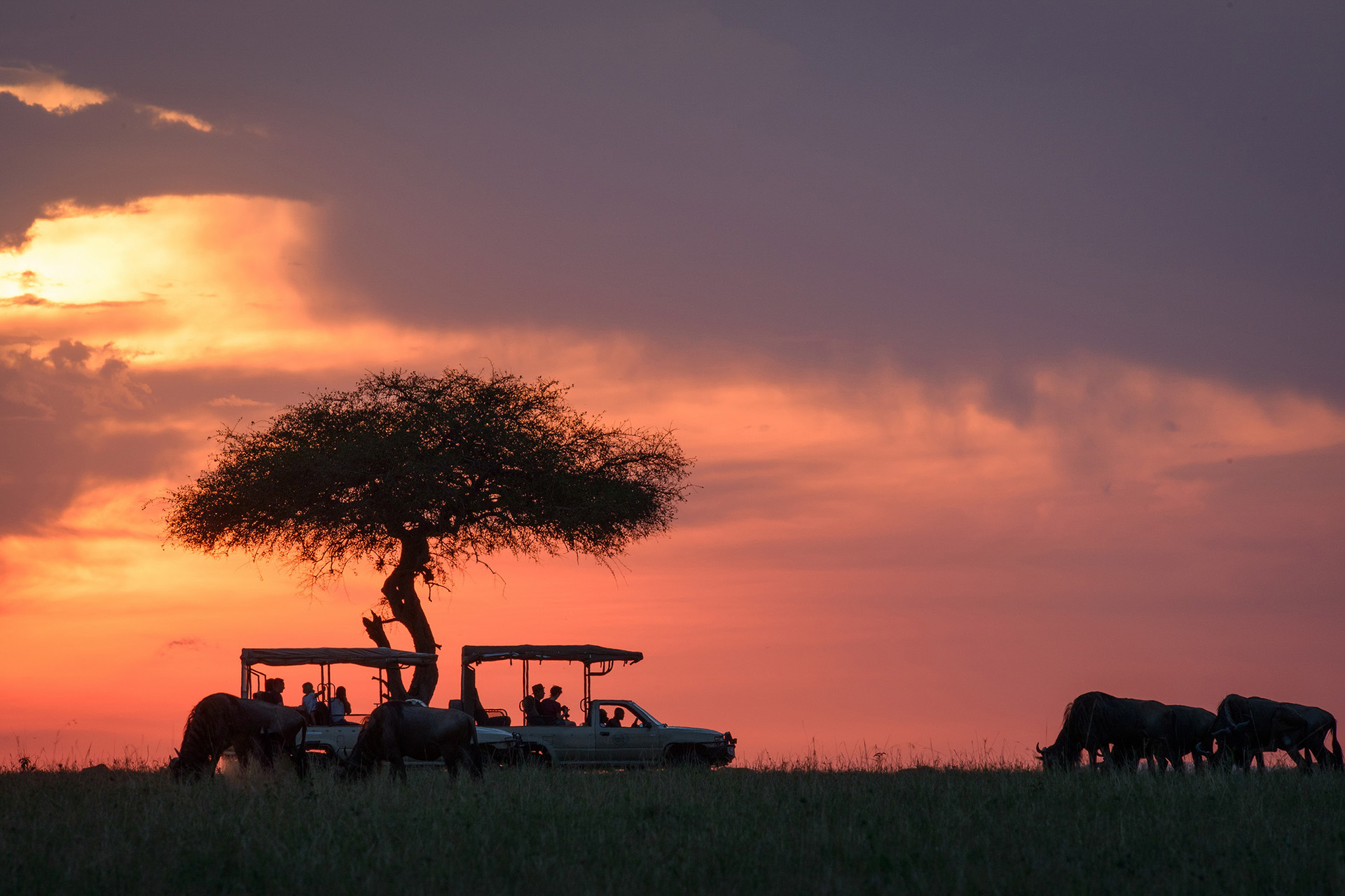 Safari in Kenya photocredit Dan Dinu