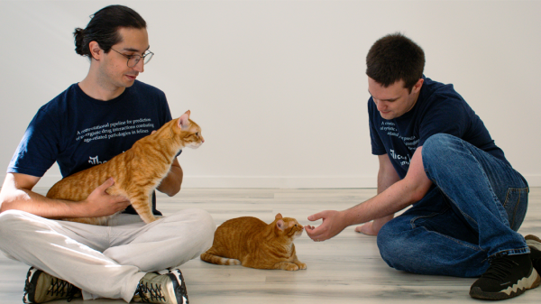The Cat Health Company, un startup românesc care vrea să prelungească viața pisicilor