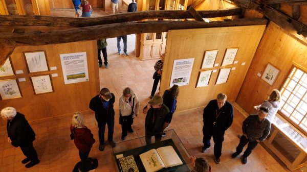 02 Expozitie Maria Regina Artista The Kings House Viscri