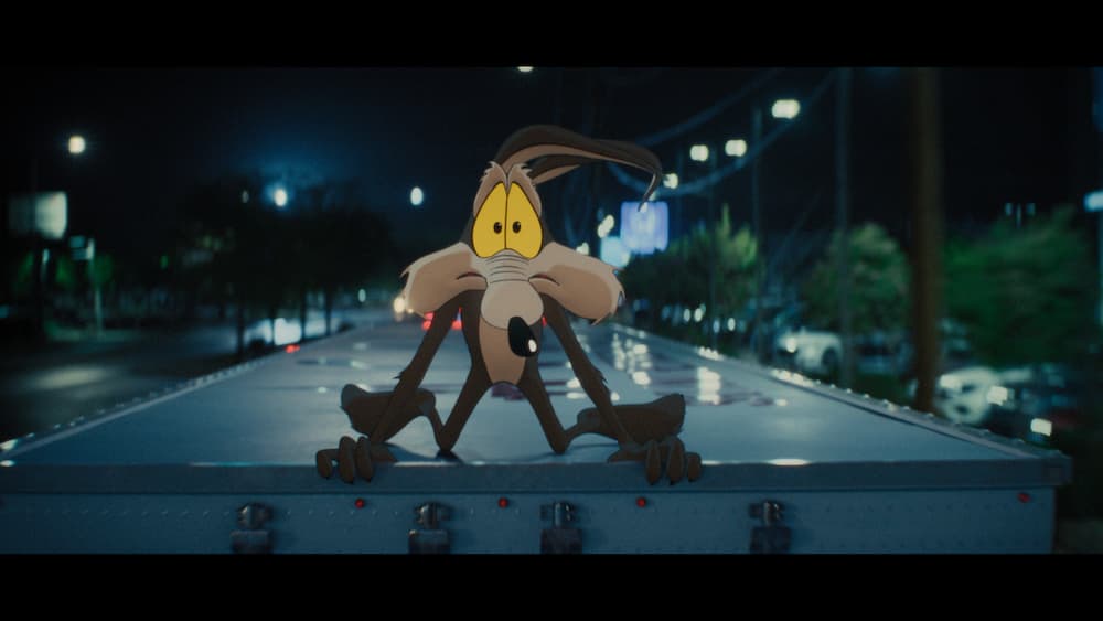 coyote vs acme still